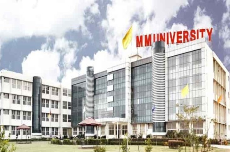 M.M. Institute